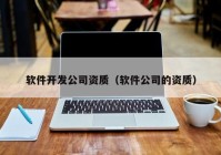 軟件開發(fā)公司資質(zhì)（軟件公司的資質(zhì)）