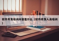 軟件開發(fā)培訓(xùn)內(nèi)容是什么（軟件開發(fā)人員培訓(xùn)）