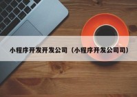 小程序開發(fā)開發(fā)公司（小程序開發(fā)公司司）