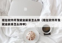 現(xiàn)在軟件開發(fā)就業(yè)前景怎么樣（現(xiàn)在軟件開發(fā)就業(yè)前景怎么樣?。? /></a>
		</div>
		<div   id=