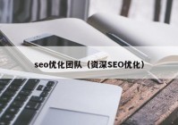 seo優(yōu)化團隊（資深SEO優(yōu)化）