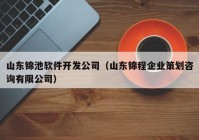 山東錦池軟件開發(fā)公司（山東錦程企業(yè)策劃咨詢有限公司）