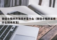 微信小程序開發(fā)技術(shù)是什么（微信小程序采用什么技術(shù)開發(fā)）