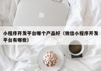 小程序開發(fā)平臺(tái)哪個(gè)產(chǎn)品好（微信小程序開發(fā)平臺(tái)有哪些）