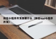 微信小程序開發(fā)需要什么（微信app小程序開發(fā)）