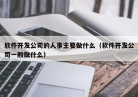 軟件開發(fā)公司的人事主要做什么（軟件開發(fā)公司一般做什么）