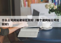 什么公司網(wǎng)站建設(shè)比較好（哪個建網(wǎng)站公司比較好）