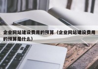 企業(yè)網(wǎng)站建設費用的預算（企業(yè)網(wǎng)站建設費用的預算是什么）